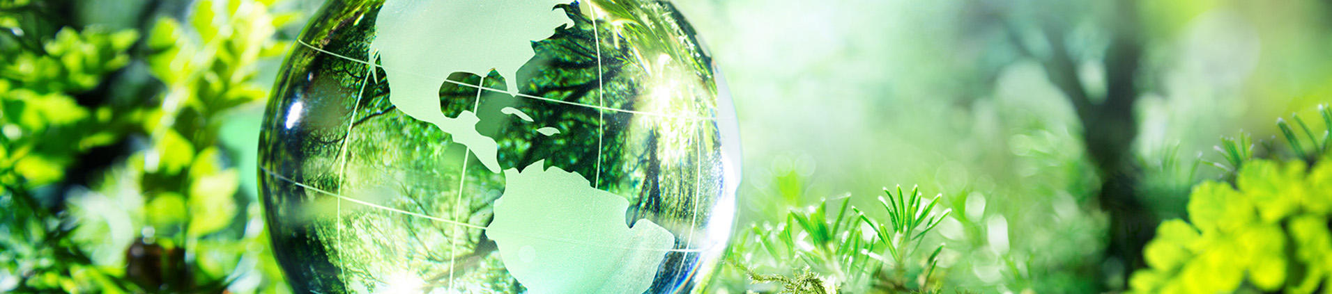 Консалтинг и сертификация по международным системам менеджмента ISO Консалтинг и сертификация по международным системам менеджмента ISO