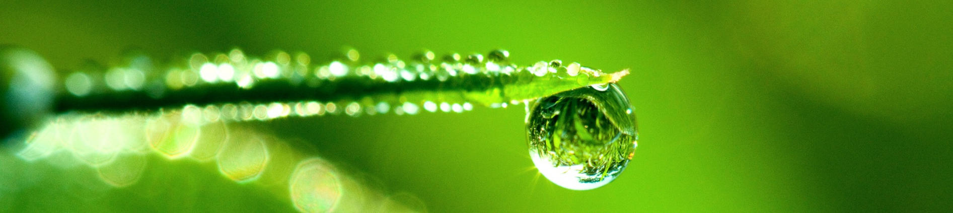 Гармония с природой - неотъемлемая часть "качественной жизни" Гармония с природой - неотъемлемая часть "качественной жизни"