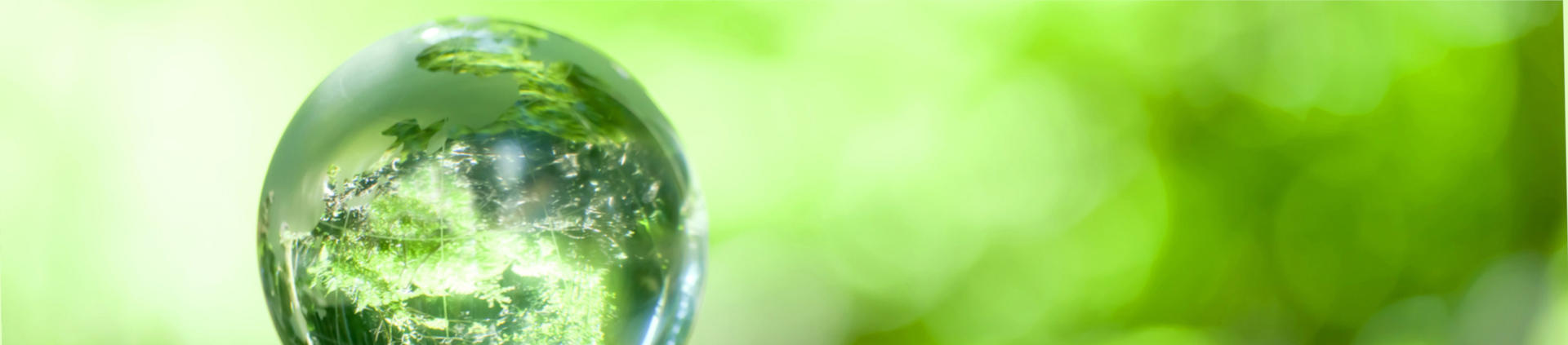 Инжиниринг и поставка «под ключ» индивидуальных систем биологической очистки стоков Инжиниринг и поставка «под ключ» индивидуальных систем биологической очистки стоков